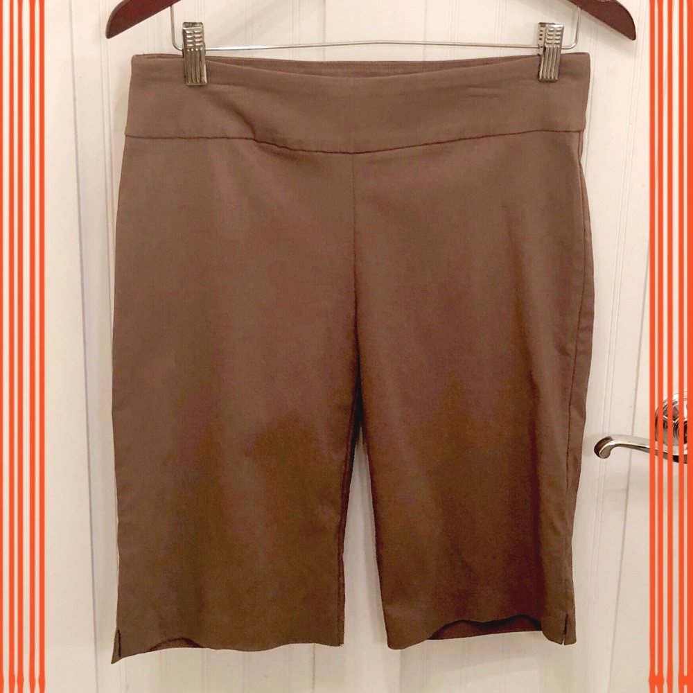 EUC Attyre Brown Bermuda Shorts